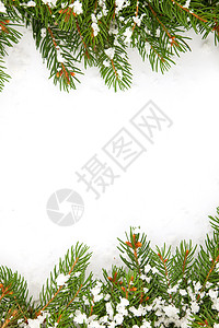 带雪雪的圣诞节框架 寒冷的 森林 装饰品 分支机构 叶子图片