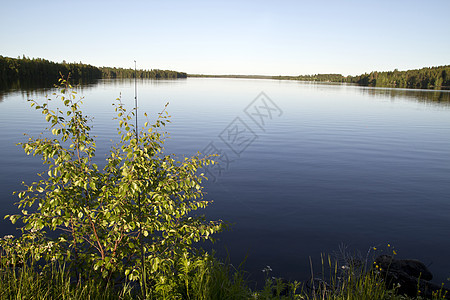 湖和天空 镜子 荒野 公园 宁静 蓝色的 树木 木头图片