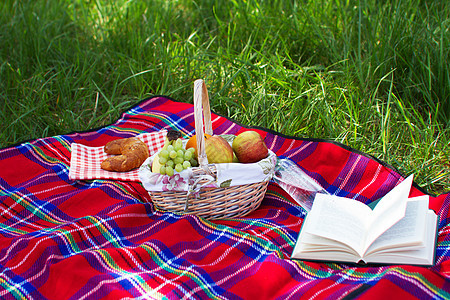 彩球篮子 食物 吃 苹果 自然 夏天 草地 生活 健康图片