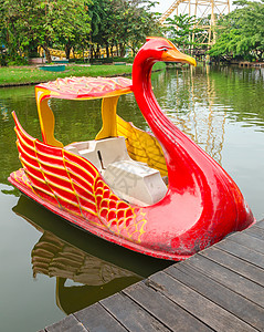Swan船图片