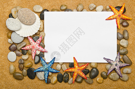 沙滩上的空白信息 海 海星 宏观 海岸 夏天 异国情调图片