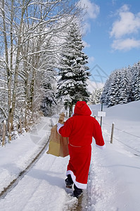圣诞老人 森林 帽子 圣诞节 包 十二月 雪图片