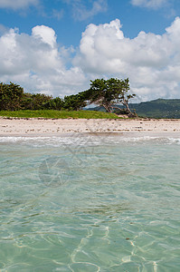 维约堡荒沙海滩 安详 热带 假期 海洋 海岸线 美丽的 天堂图片