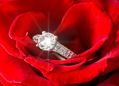 金金钻石戒指和玫瑰 结婚 甜的 浪漫的 情人节 宝石 奢华图片
