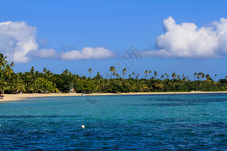 美丽的斐济环礁岛和白海滩 波纹 海洋 棕榈图片