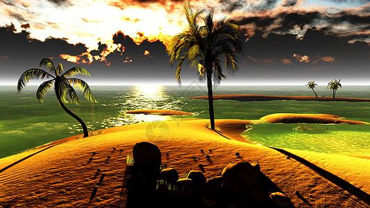 热带天堂的夏威夷日落 蓝色的 海 海滩 礁背景图片
