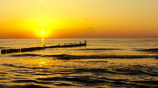 黄海日落 阳光 浪漫的 日出 美丽的 天空 天气 黎明图片