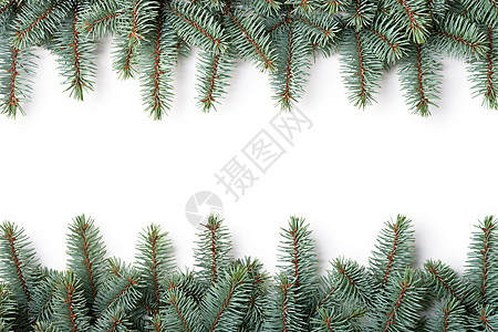 圣诞节框架 云杉 白色的 华丽的 自然 树 针叶树图片