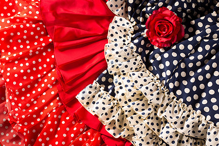 红蓝色的Flamenco服装 有斑点和红玫瑰 传统 衣服图片