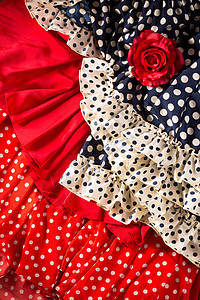 红蓝色的Flamenco服装 有斑点和红玫瑰 织物 纪念品图片