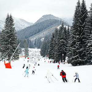 滑雪度假胜地 寒冷的 天气 户外 斯洛伐克 坏天气 自然图片