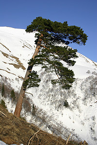 阳光明日滑雪斜坡的景象 岩石 粉末 季节 悬崖图片