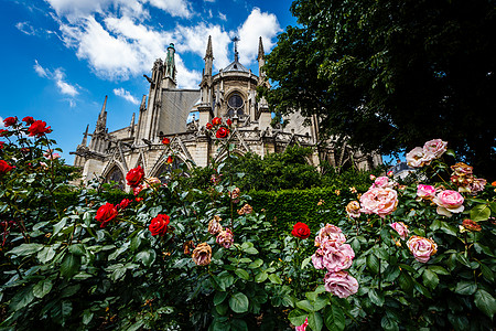 巴黎大教堂圣母与红玫瑰和白玫瑰圣母会 天空图片