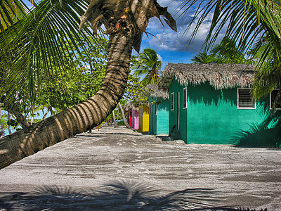 加勒比海滩 有典型的多彩家庭 放松 天堂 热带图片