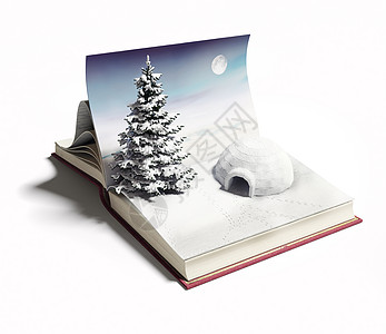 露天书上的冰球 寒冷的 自然 雪 脚步声 冰屋 冒险图片