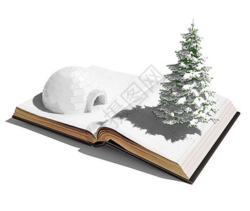 露天书上的冰球 寒冷的 树 冰屋 美丽 十二月 圣诞节 自然图片