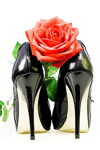 白色背景的淑女鞋子和红玫瑰图片