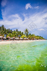 热带阳光明媚的白色热带沙滩 位于美丽的外来度假胜地 天空 树图片