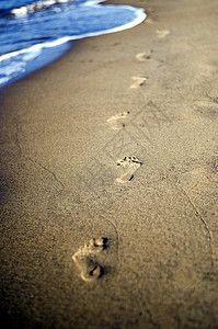 沙中脚步图片