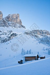 意大利萨尔瓦迪瓦尔花园滑雪度假胜地 爬坡道 树木图片