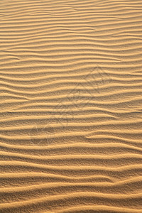加积沙丘 自然 美丽 美丽的 全景 旅行 太阳 地标图片