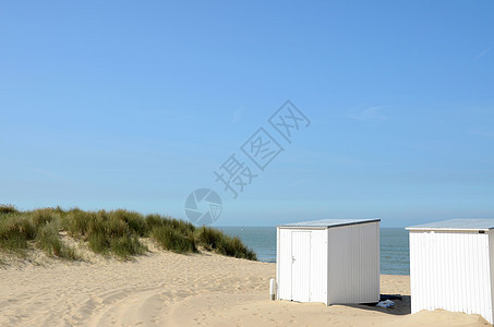 海滩 户外的 放松 假期 比利时海岸 乐趣 蓝色的 庇护所 舱 夏天背景图片