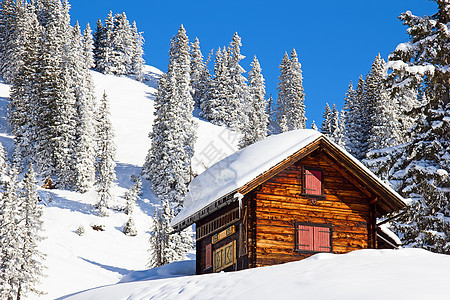 低温中的冬季 阿尔卑斯山 自然 高山 树 森林 建筑 乐趣图片