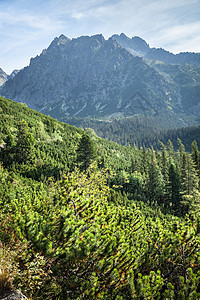 从徒步足迹看塔特拉高山 山脉 森林 旅行 假期 精彩的图片