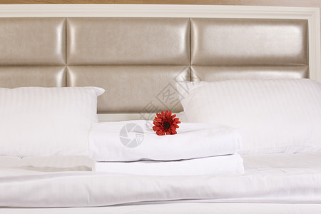 室内旅馆房间 卧室 假期 汽车旅馆 优雅 地面 床单图片