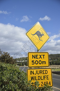 澳大利亚的袋鼠标志 旅行 国家 高速公路 假期 荒野 警告图片