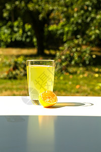 花园中的天然柠檬 健康 自然 甜的 热带 新鲜 柠檬酸图片