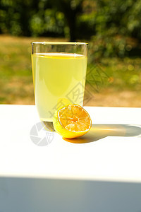花园中的天然柠檬 自然 新鲜 食谱 清爽 口渴 果汁图片
