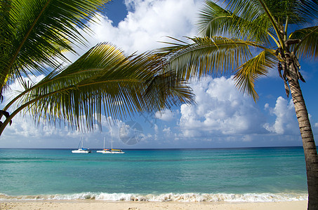 热带热带海滩 岛 水 美丽的 晴天 椰子 宁静图片