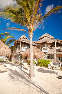 热带阳光晴天海滩 位于美丽的异国度假胜地 岛 棕榈图片
