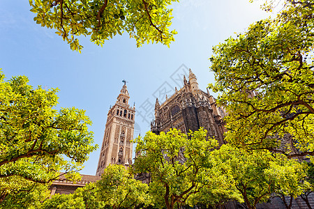 西班牙塞维利亚大教堂和Giralda塔图片