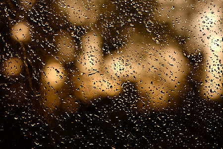 雨滴 透明的 湿的 秋天 风暴 晚上 悲哀 宁静图片