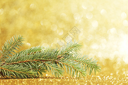 新年贺卡 松树 庆典 金子 绿色的 冷杉 卡片背景图片