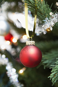 在圣诞树上挂着的红色酒杯背景图片