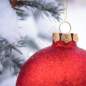 美丽的圣诞红舞会 在法尔分队上 被雪雪覆盖 树图片