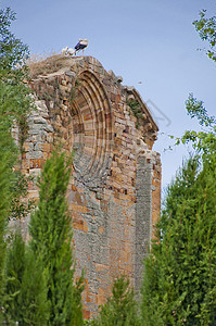 鲁因修道院 天主教的 基督教 废墟 巴洛克风格 艺术 宗教背景图片