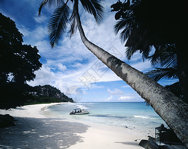热带海滩上的机动艇图片