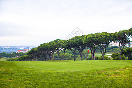 高尔夫球场景观 草 蓝色的 树 闲暇 游戏 土地图片