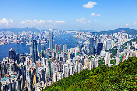 香港城市 美丽的 港口 市中心 高的 塔图片