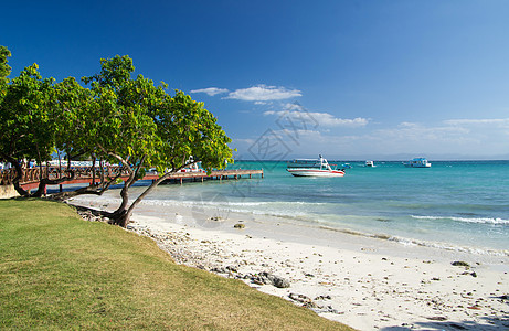 热带热带海滩 海景 美丽的 假期 椰子 树 夏天 宁静图片