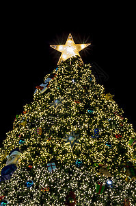 圣诞树照明 自然 火花 冬天 玻璃 针叶 诺埃尔 圣诞节图片