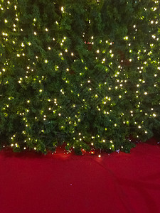 Bokeh 模糊脱离焦点背景的圣诞fir树 云杉 木头背景图片