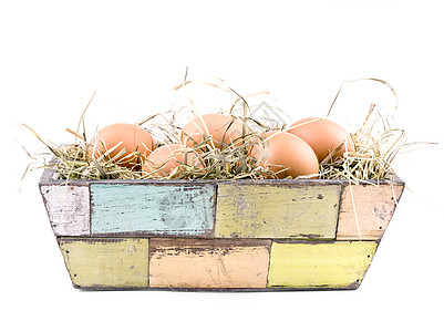 鸡蛋躺在花盆里的干草上背景图片
