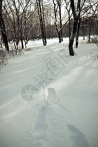 雪地场景图片