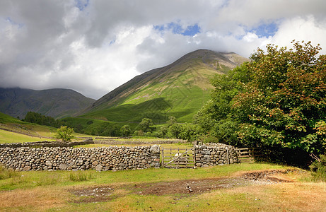 Wasdale 头 坎布里亚 沃斯代尔角 湖区 农场动物图片