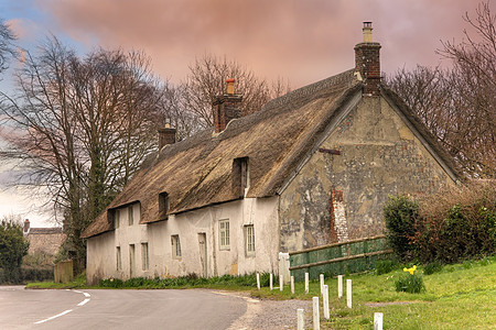 Dorset 那个破小屋图片